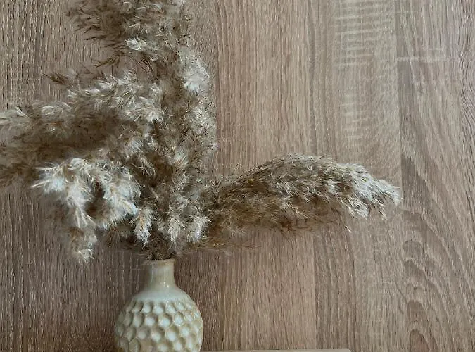 Relaxing Lejlighed Vlorë