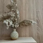 Relaxing Apartment Vlore