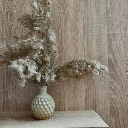 Relaxing Daire Avlonya